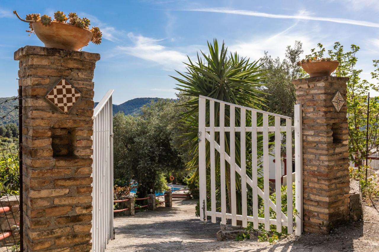 Villa Agia Marina Skopelos Exterior foto
